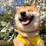 Avatar de Fátima Camacho